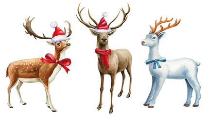Deer in red Santa hat and scarf on isolated white background, forest animal watercolor illustration. Holiday concept 