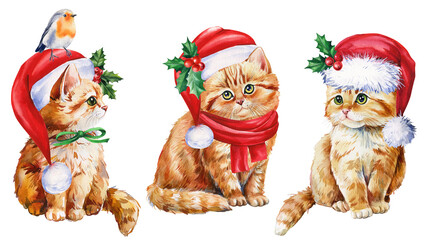 Set of cat. Cute kitten in red Santa hat on isolated white background, Christmas or new year holiday, watercolor 
