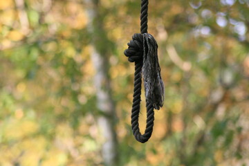 noose