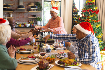 Happy diverse group of senior friends celebrating at christmas dinner in sunny dining room at home