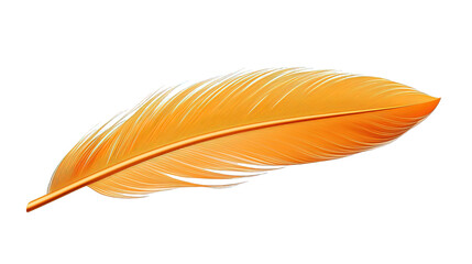 Orange Feather Isolated