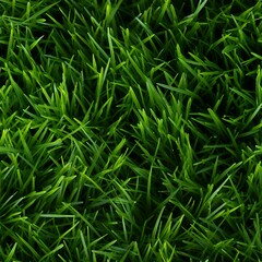 Fototapeta na wymiar Close-up image of Grass, seamless image