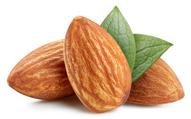 Almond full macro shoot nuts healthy
