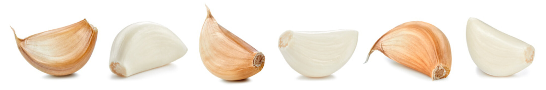 Garlic isolated on white background