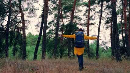 Woman with backpack runs spreading arms among fir forest on autumn day