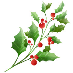 Christmas leaves decoration in winter