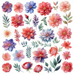 watercolor floral package collection isolated transparent background. ai generative