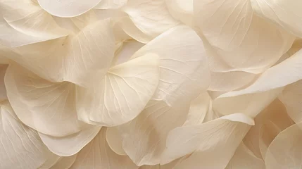 Fotobehang Nature abstract of flower petals, beige transparent leaves with natural texture as natural background or wallpaper. Macro texture, neutral color aesthetic photo with veins of leaf, botanical design. © HN Works