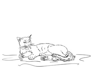 Relaxed lazy cat sketch, Hand drawn illustration of a lying adult male cat