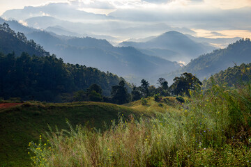 landscape and sky background