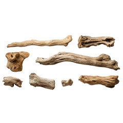Obraz premium Dry branches textured pieces isolated on transparent background