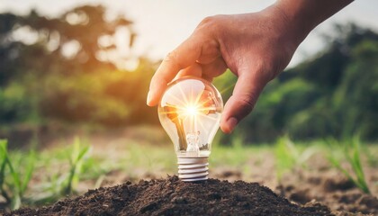 Hand holding light bulb on soil with sunshine. Concept saving power energy in nature