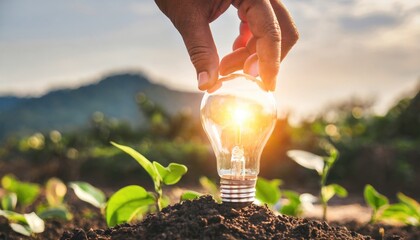 Hand holding light bulb on soil with sunshine. Concept saving power energy in nature - obrazy, fototapety, plakaty