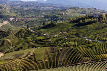 View of Langhe vineyards from La Morra,  UNESCO Site, Piedmont, Italy