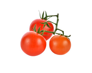 tomatoes transparent png