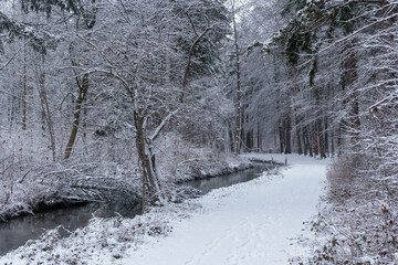 Winter snowy forest paths with snow cover in Sibenbrunn near Augsburg along the Brunnenbach stream