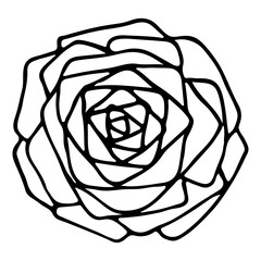 Outline flower logo. Black hand drawn doodle sketch. Line art. Black vector illustration isolated on transparent background. 