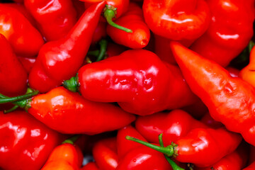 Red chili peppers as background. Close-up