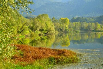 View of trees reflections on lake in Mollaköy, Sakarya, Turkey.