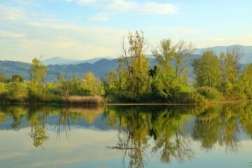 Fototapeta na wymiar View of trees reflections on lake in Mollaköy, Sakarya, Turkey.