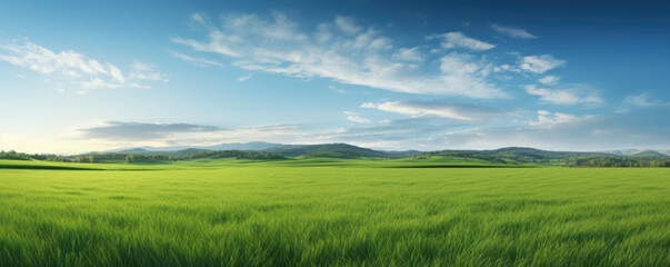 Beautiful natural scenic panorama green field of cut grass and blue sky with clouds on horizon....