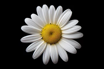 Zelfklevend Fotobehang Photo of a radiant daisy on a solid white background. Generative AI © Aditya