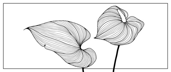 Black outline of calla flower and leaf on a white background. Handmade floral silhouette for coloring, publishing in books and magazines, creating designs and patterns.