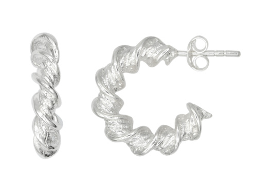 Earrings Silver Style