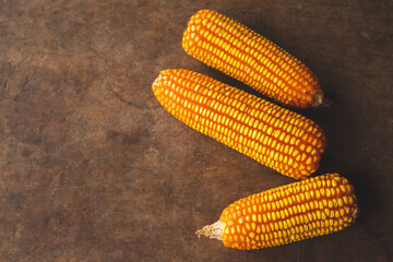 Top view of dry corn on the wood background