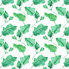 Seamless pattern of elements with spring leaves . Hand drawn watercolor illustration isolated on white background