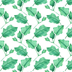 Seamless pattern of elements with spring leaves . Hand drawn watercolor illustration isolated on white background