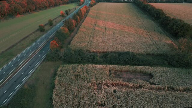 Traffic Along Fields And Autumn Trees In A11 Road At Croxton Road Near Thetford, Norfolk, United Kingdom. Aerial Drone Shot