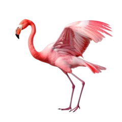 Gordijnen flamingo face shot, isolated on transparent background cutout © Pixel Town