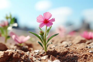 An abstract background image for creative content, spring, featuring a vibrant pink wildflower in sharp focus and a blurred background, evoking the essence of the season. Photorealistic illustration