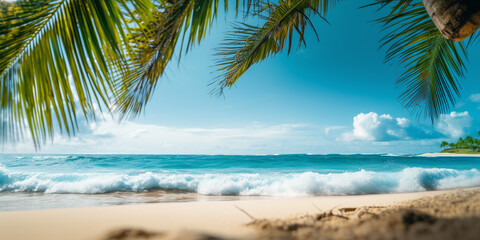Fototapeta na wymiar Tropical beach panorama view, coastline with palms, Caribbean sea in sunny day, summer time, Tropical seascape with Palm trees. Background of summer beach
