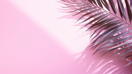 Blurred shadow from palm leaves on the pink wall. Minimal abstract background for product presentation. Spring and summer. 