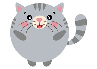 Cute cat with round body