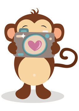 Cute monkey with a camera