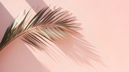 natural palm leaf with neutral pastel background. Aesthetic minimalism design for social media content background. Simple nature elements. Calming, exotic and serene atmosphere.
