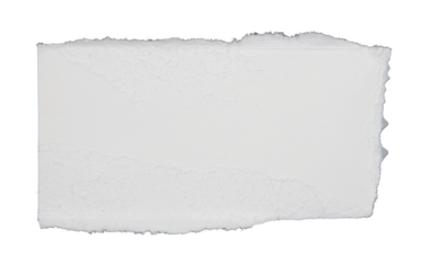 Pieces of torn scrapbook paper on transparent background png file