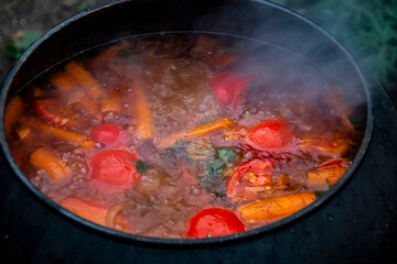 Delicious soup in a cauldron being prepared on a fire close-up