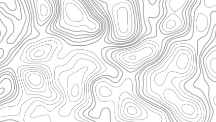 Background of topographic line contour map. Geographic grid map with space for copy. Topographic Cartography. Topographic relief. Linear graphics. Topography and geography map grid