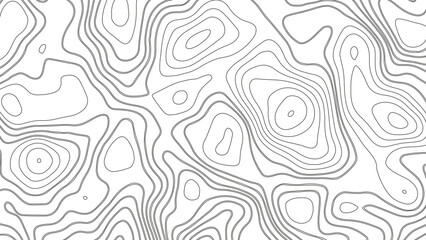 Fototapeta premium abstract pattern with lines. Background of the topographic map