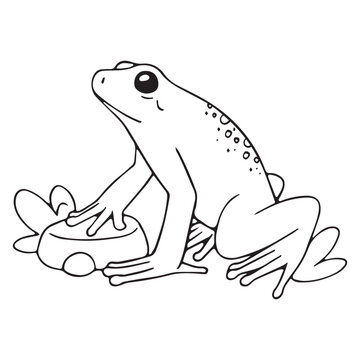 Outline golden poison dart frog sit on stone. Small venomous froggy, toad. Contour amphibian with toxic skin. Rainforest fauna. Coloring book. Lineart isolated vector illustration on white background
