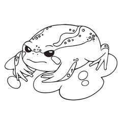 Desert rain frog with sad muzzle. Cute toad, unhappy rainforest froggy sitting on swamp. Amphibian animal, wetland fauna, exotic nature. Lineart isolated vector illustration on white background