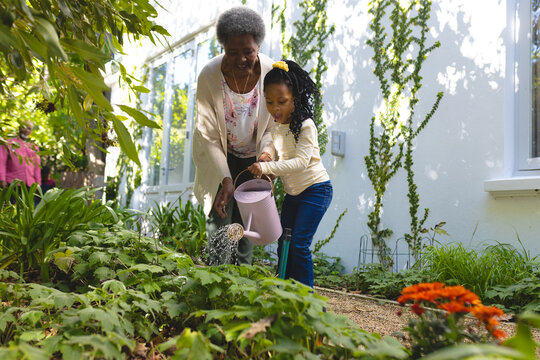 Happy african american grandmother and granddaughter watering plants in garden, copy space