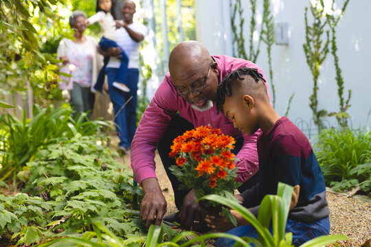 Happy african american grandfather and grandso planting flowers in garden, copy space