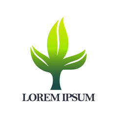 Plant logo vector. Green tree logo vector.