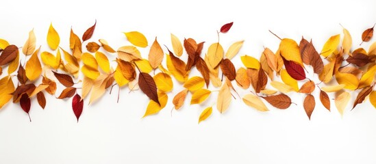 Spring season with dried leaves of red and yellow texture