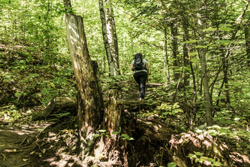 Obraz premium Girl hiking in the Forest near lake in La Mauricie National Park Quebec, Canada on a beautiful day